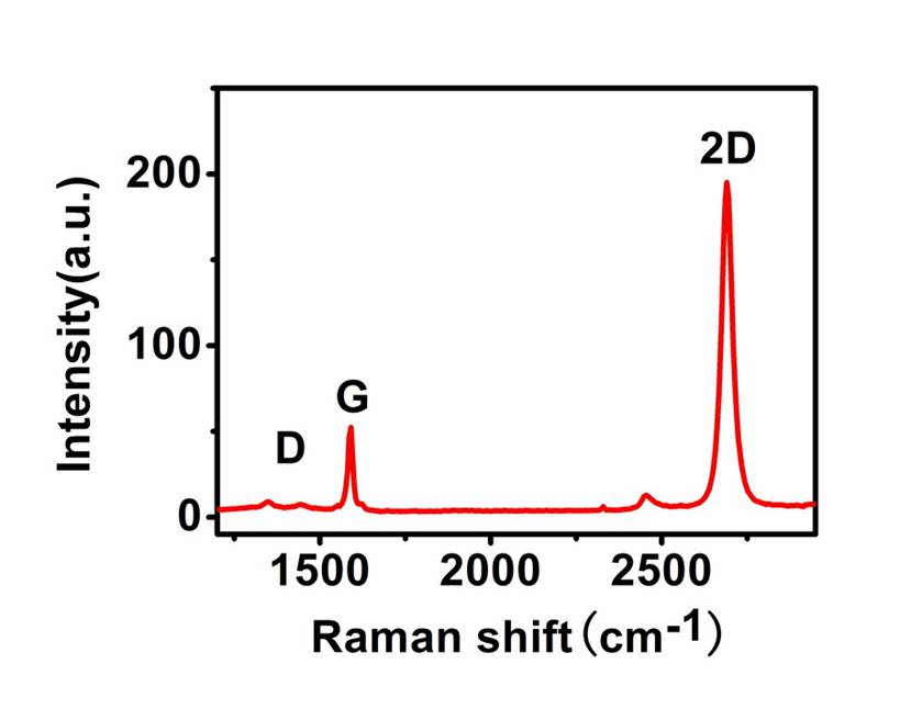 Typical Raman Spectrum of a Single Layer Film